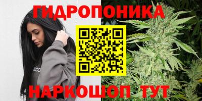 дмт Новодвинск