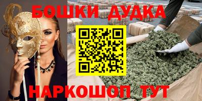 дмт Новодвинск