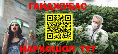 дмт Новодвинск