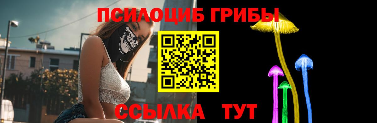 Улан-Удэ  Псилоцибиновые грибы прущие грибы  Вход с VPN  Галлюциногенные грибы MAGIC MUSHROOMS 
